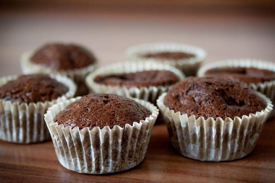 Healthy Protein Muffin Recipes You Can Make with Syntrax Matrix