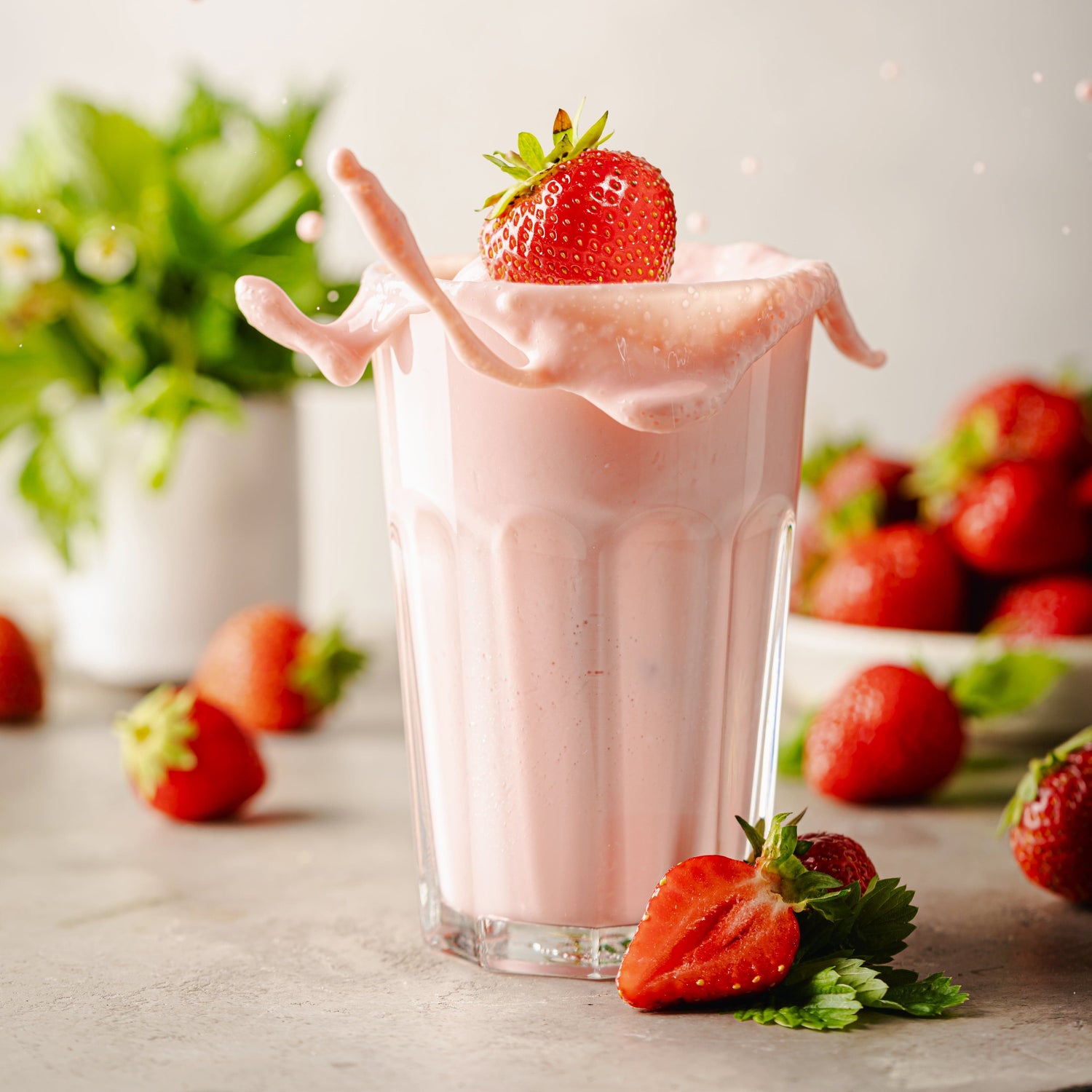 Chike Nutrition - Meal Replacement - Strawberry & Cream (14 Servings) - Nashua Nutrition