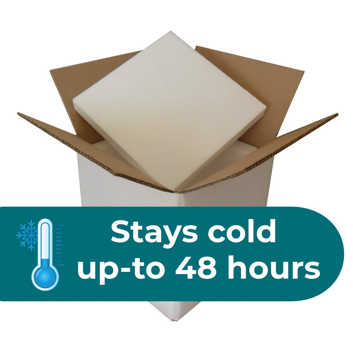 Insulated Shipping Box with Ice Packs - Nashua Nutrition