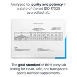 Legion - Protein Cereal - Chocolate Crunch (1 Box/6 Servings) - Nashua Nutrition