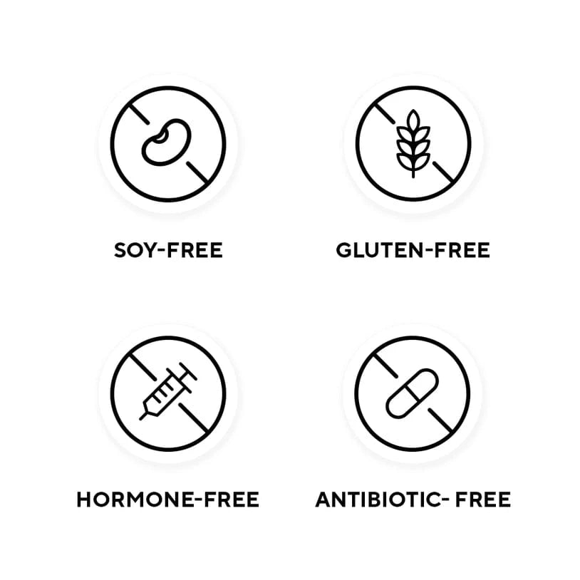 Legion - Protein Cereal - Chocolate Crunch (1 Box/6 Servings) - Nashua Nutrition