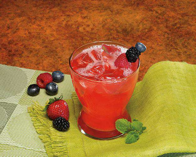 Weight Loss Systems Fiber Drink - Mixed Fruit - 10/Box - Fiber Items - Nashua Nutrition